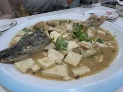 -煲来饱去冷水鱼