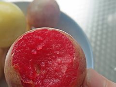 -万象汇