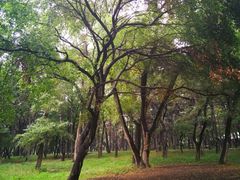 -长春市南湖公园