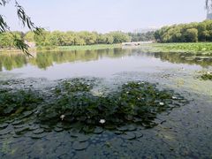 -长春市南湖公园