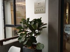 -DOPAMINE多巴胺·甜品面包·生日蛋糕(国贸店)