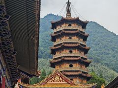 -天目山大树王景区