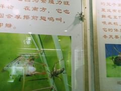 -上海昆虫博物馆