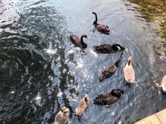 -长白岛森林公园