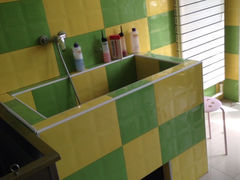 iphone_upload_pic-久久宠物(河东万达店)