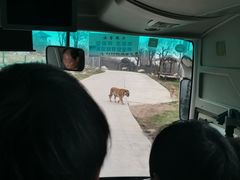 -西安秦岭野生动物园