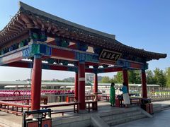 -莲花池公园