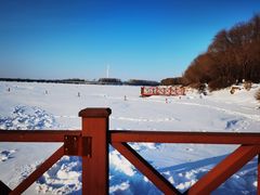 -丁香湖公园