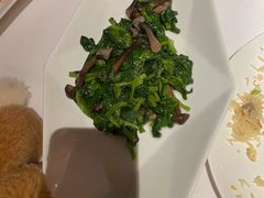 酒香炒嫩豆苗-苏浙总会(国金中心店)