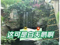 -广州白天鹅宾馆