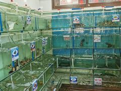 -川妹子饭店(海韵路店)