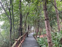 -铁山坪森林公园