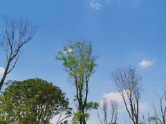 -白鹭湾湿地公园