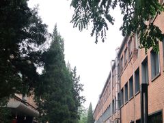 -威克特披萨汉堡