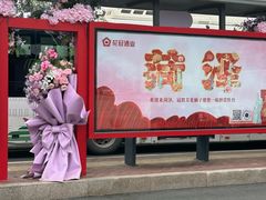 -曹州牡丹园