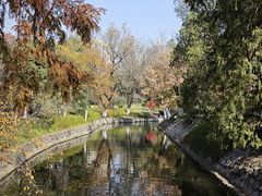 -合肥野生动物园