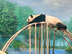 -杭州动物园