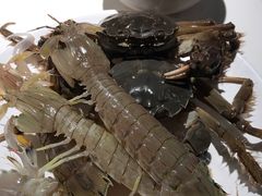 -加餐海鲜自助(宝龙一城店)