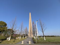 -合肥滨湖国家森林公园