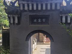 -习家池