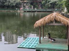 -绿雅居原生态农庄(小涌店)