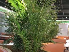 -叹茶靓点·粤式餐厅·全天茶市(石井万民广场店)