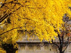 -北京石刻艺术博物馆(五塔寺)