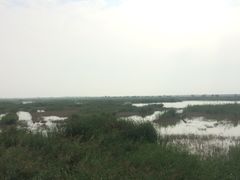 -包头南海湿地景区