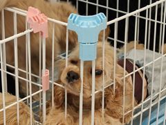 -上海长风大悦城
