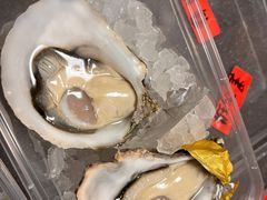 -Oyster Talks 四度蚝法餐厅