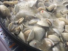 -顺德哥卜卜贝(旗舰店)