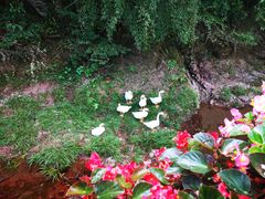 -溪口-滕头旅游景区