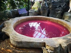 -盛泰恐龙谷温泉