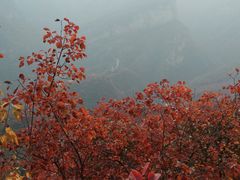 -周口店坡峰岭风景区