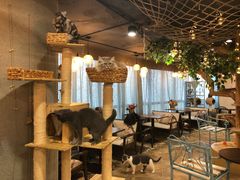 大堂-共舞时光猫咖·狗咖(新街口店)