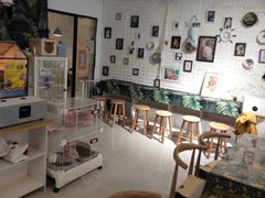 -平行世界·猫咖(首经贸店)