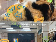 -日新剑道馆