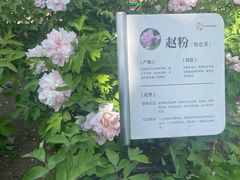 -太阳宫公园