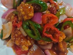 -东鸽皇(奥园·中环广场店)