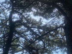 -天津盘山风景名胜区