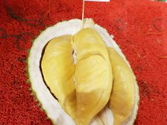 -都念榴莲·城市榴莲