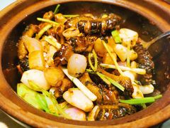 啫啫黄鳝煲-粤凤佬
