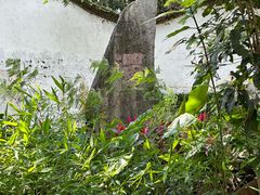 -国恩寺