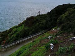 -阿尔卡特拉斯岛