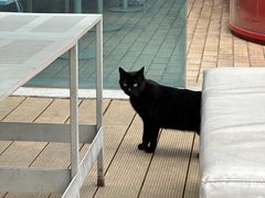 -UNI UNI(环亚凯瑟琳店)