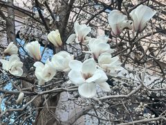 -逸派咖啡 EPARKCOFFEE(广安门店)