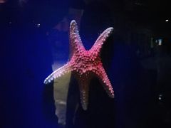 -台州海洋世界