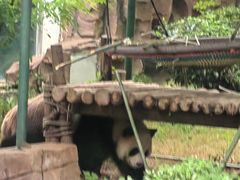 -五龙山野生动物王国
