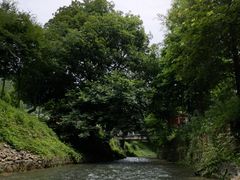 -天目湖松岭竹海漂流