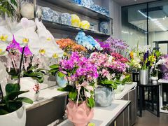 -靳晖金百合花艺GOLDENLILY(南院门店)
